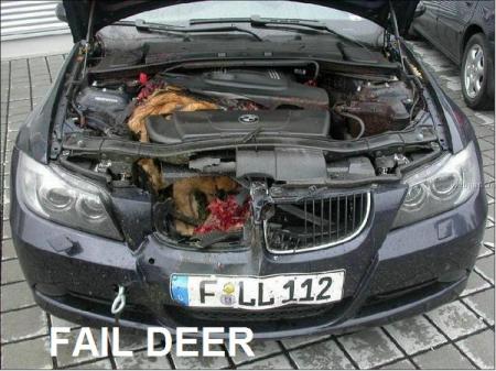 Fail Deer